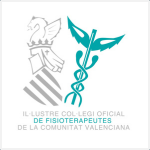 Ilustre Colegio Oficial de Fisioterapeutas de la Comunidad Valencia